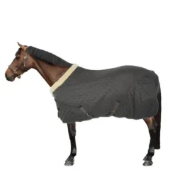 Kentucky Horsewear Kentucky Showdeken 160g Groen/Grijs 12 Kentucky Horsewear Kentucky Showdeken 160g Groen/Grijs -Kentucky Horsewear Winkel 44743427.5e4170