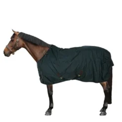 Kentucky Horsewear Kentucky Turnout All Weather 160g Donkergroen 16 Kentucky Horsewear Kentucky Turnout All Weather 160g Donkergroen -Kentucky Horsewear Winkel 44743486.6c92b7
