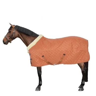 Kentucky Horsewear Kentucky Showdeken 160g Autumn Orange 12 Kentucky Horsewear Kentucky Showdeken 160g Autumn Orange - Afbeelding 12