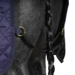 Kentucky Horsewear Kentucky Stapmolen Deken 160g Navy 19 Kentucky Horsewear Kentucky Stapmolen Deken 160g Navy -Kentucky Horsewear Winkel agradi 44669515 5.0f715c