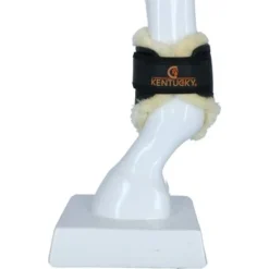 Kentucky Horsewear Kentucky Strijklappen Leder Achter Kort Zwart Full 10 Kentucky Horsewear Kentucky Strijklappen Leder Achter Kort Zwart Full -Kentucky Horsewear Winkel agradi 44743327 4.9d64f5