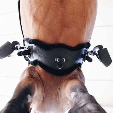 Kentucky Horsewear Kentucky Dressuursingel Sheepskin Anatomic Short Black 1 Kentucky Horsewear Kentucky Dressuursingel Sheepskin Anatomic Short Black