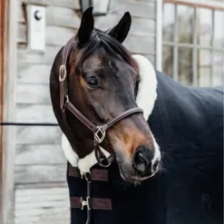 Kentucky Horsewear Kentucky Zweetdeken Show Fleece Heavy Zwart -Kentucky Horsewear Winkel ken 485a1159.12f007