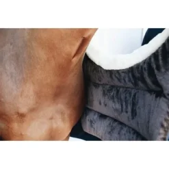 Kentucky Horsewear Kentucky Bib Winter Navy Full -Kentucky Horsewear Winkel ken 52114 3.8fcd36