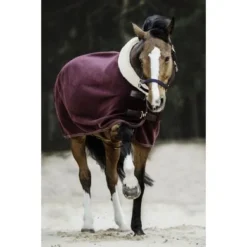 Kentucky Horsewear Kentucky Zweetdeken Show Fleece Heavy Bordeaux -Kentucky Horsewear Winkel ken 52148 17 bordeaux3.c35f7f