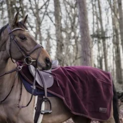 Kentucky Horsewear Kentucky Uitrijdeken Heavy Fleece Bordeaux 11 Kentucky Horsewear Kentucky Uitrijdeken Heavy Fleece Bordeaux -Kentucky Horsewear Winkel ken 52207 rood3.a6d576