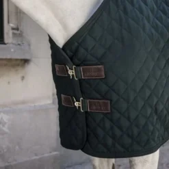 Kentucky Horsewear Kentucky Staldeken 400g Donkergroen 15 Kentucky Horsewear Kentucky Staldeken 400g Donkergroen -Kentucky Horsewear Winkel kentucky 14052020 485a2476 e8502ded370e565d04389cf2c54c4715 article photobook crop.862b46
