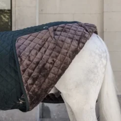 Kentucky Horsewear Kentucky Staldeken 400g Donkergroen 16 Kentucky Horsewear Kentucky Staldeken 400g Donkergroen -Kentucky Horsewear Winkel kentucky 14052020 485a2489 e8502ded370e565d04389cf2c54c4715 article photobook crop.24873f