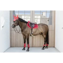 Kentucky Horsewear Kentucky Peesbeschermers Bamboo Elastic Velvet Rood -Kentucky Horsewear Winkel kentucky 179a3312.838920