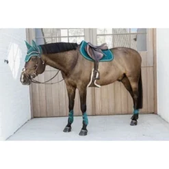 Kentucky Horsewear Kentucky Kogelbeschermer Young Horse Velvet Emerald -Kentucky Horsewear Winkel kentucky 179a3522.bf07f2 1