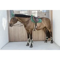 Kentucky Horsewear Kentucky Peesbeschermers Bamboo Elastic Velvet Vegan Bont Donker Groen 13 Kentucky Horsewear Kentucky Peesbeschermers Bamboo Elastic Velvet Vegan Bont Donker Groen -Kentucky Horsewear Winkel kentucky 179a3654.89b3b2