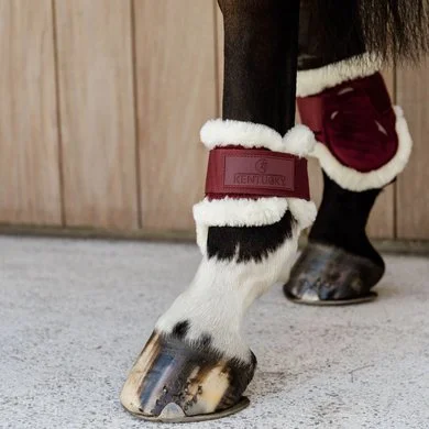 Kentucky Horsewear Kentucky Kogelbeschermer Young Horse Velvet Vegan Bont Bordeaux 1 Kentucky Horsewear Kentucky Kogelbeschermer Young Horse Velvet Vegan Bont Bordeaux