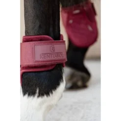 Kentucky Horsewear Kentucky Kogelbeschermer Young Horse Velvet Bordeaux -Kentucky Horsewear Winkel kentucky 179a4028.9a16d1