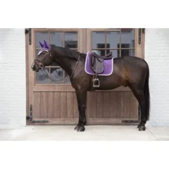 Kentucky Horsewear Kentucky Oornetje Wellington Velvet Contrast Royal Purple Full 9 Kentucky Horsewear Kentucky Oornetje Wellington Velvet Contrast Royal Purple Full -Kentucky Horsewear Winkel kentucky 221013 23.8ca243