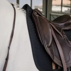 Kentucky Horsewear Kentucky Zadeldekje Fishbone Dressuur Zwart Full 7 Kentucky Horsewear Kentucky Zadeldekje Fishbone Dressuur Zwart Full -Kentucky Horsewear Winkel kentucky 42574 01 dr 4.e588f4