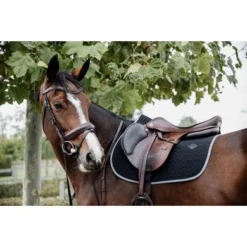 Kentucky Horsewear Kentucky Zadeldekje Softshell Springen Zwart Full -Kentucky Horsewear Winkel kentucky 485a2239.1e9a71