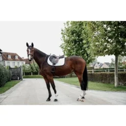 Kentucky Horsewear Kentucky Zadeldekje Softshell Springen Wit Full -Kentucky Horsewear Winkel kentucky 485a2278.d0366f