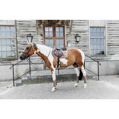 Kentucky Horsewear Kentucky Zadeldekje Velvet Pearls Springen Beige Full 5 Kentucky Horsewear Kentucky Zadeldekje Velvet Pearls Springen Beige Full - Afbeelding 5
