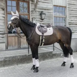 Kentucky Horsewear Kentucky Zadeldekje Velvet Pearls Springen Soft Rose Full 9 Kentucky Horsewear Kentucky Zadeldekje Velvet Pearls Springen Soft Rose Full -Kentucky Horsewear Winkel kentucky 485a2486 .08a7e7