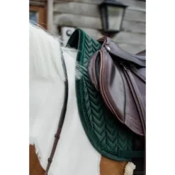 Kentucky Horsewear Kentucky Zadeldekje Velvet Pearls Springen Pine Green Full -Kentucky Horsewear Winkel kentucky 485a2599.df3a1f