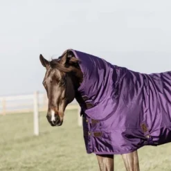 Kentucky Horsewear Kentucky Turnout All Weather 160g Paars -Kentucky Horsewear Winkel kentucky 485a3024 e8502ded370e565d04389cf2c54c4715 article photobook crop.70ac82