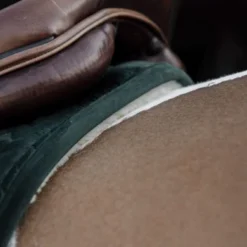 Kentucky Horsewear Kentucky Zadeldekje Skin Friendly Velvet Springen Pine Green Full -Kentucky Horsewear Winkel kentucky 485a3309 564c22e810080218547dfa1c1093aa08 article photobook l.e4f6f5