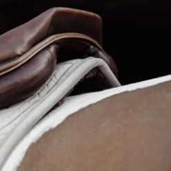 Kentucky Horsewear Kentucky Zadeldekje Skin Friendly Velvet Springen Beige Full 8 Kentucky Horsewear Kentucky Zadeldekje Skin Friendly Velvet Springen Beige Full -Kentucky Horsewear Winkel kentucky 485a3422 564c22e810080218547dfa1c1093aa08 article photobook l.17d399