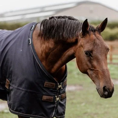 Kentucky Horsewear Kentucky Turnout Rug All Weather 300g Navy 12 Kentucky Horsewear Kentucky Turnout Rug All Weather 300g Navy - Afbeelding 12