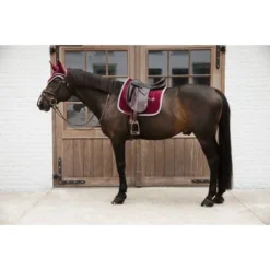 Kentucky Horsewear Kentucky Oornetje Wellington Velvet Contrast Bordeaux Full -Kentucky Horsewear Winkel kentucky 485a6781.fe7ceb 1