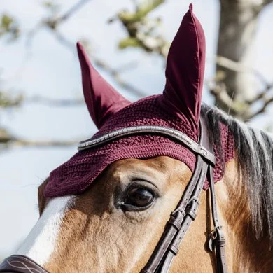 Kentucky Horsewear Kentucky Oornetje Wellington Bordeaux Full 2 Kentucky Horsewear Kentucky Oornetje Wellington Bordeaux Full - Afbeelding 2