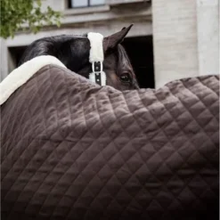 Kentucky Horsewear Kentucky Showdeken 160g Bruin -Kentucky Horsewear Winkel kentucky 485a7141.0418b8