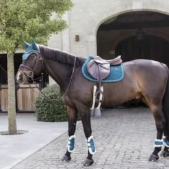 Kentucky Horsewear Kentucky Peesbeschermers Bamboo Elastic Vegan Sheepskin Emerald -Kentucky Horsewear Winkel kentucky 485a7205 lr e8502ded370e565d04389cf2c54c4715 article photobook crop.26cb45