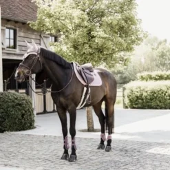 Kentucky Horsewear Kentucky Peesbeschermers Bamboo Elastic Old Rose -Kentucky Horsewear Winkel kentucky 485a7551 1 e8502ded370e565d04389cf2c54c4715 article photobook crop.9ea2a6