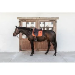 Kentucky Horsewear Kentucky Dressuur Zadeldekje Classic Leer Oranje 19 Kentucky Horsewear Kentucky Dressuur Zadeldekje Classic Leer Oranje -Kentucky Horsewear Winkel kentucky 485a7940.0c2f24