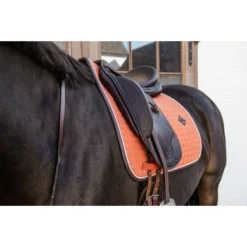 Kentucky Horsewear Kentucky Dressuur Zadeldekje Classic Leer Oranje 12 Kentucky Horsewear Kentucky Dressuur Zadeldekje Classic Leer Oranje -Kentucky Horsewear Winkel kentucky 485a7973.5c9777
