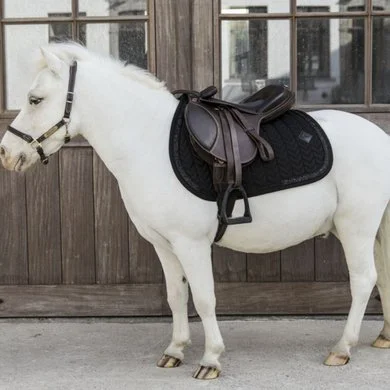 Kentucky Horsewear Kentucky Zadeldekje Glitter Stone Springen Zwart 1 Kentucky Horsewear Kentucky Zadeldekje Glitter Stone Springen Zwart