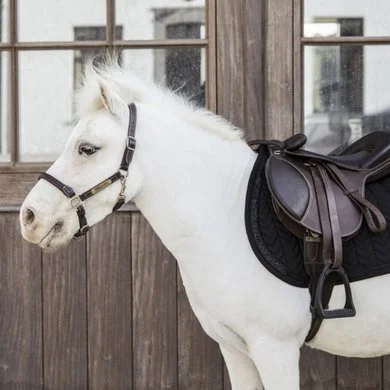 Kentucky Horsewear Kentucky Zadeldekje Glitter Stone Springen Zwart 2 Kentucky Horsewear Kentucky Zadeldekje Glitter Stone Springen Zwart - Afbeelding 2