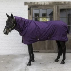 Kentucky Horsewear Kentucky Turnout All Weather 160g Paars -Kentucky Horsewear Winkel kentucky 485a9137 e8502ded370e565d04389cf2c54c4715 article photobook crop.ac60f4