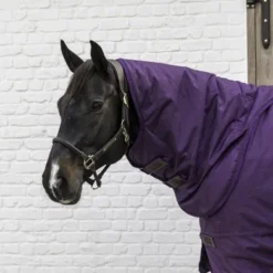 Kentucky Horsewear Kentucky Turnout All Weather 160g Paars -Kentucky Horsewear Winkel kentucky 485a9154 e8502ded370e565d04389cf2c54c4715 article photobook crop.4af59e