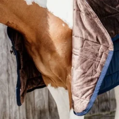 Kentucky Horsewear Kentucky Onderdeken Skin Friendly Neck 150g Navy -Kentucky Horsewear Winkel kentucky 485a9327.563015