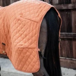 Kentucky Horsewear Kentucky Showdeken 160g Autumn Orange 16 Kentucky Horsewear Kentucky Showdeken 160g Autumn Orange -Kentucky Horsewear Winkel kentucky 52101 45 16.66ae8f