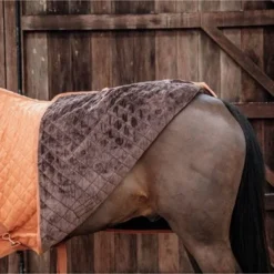 Kentucky Horsewear Kentucky Showdeken 160g Autumn Orange 17 Kentucky Horsewear Kentucky Showdeken 160g Autumn Orange -Kentucky Horsewear Winkel kentucky 52101 45 19.92ba22