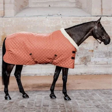 Kentucky Horsewear Kentucky Showdeken 160g Autumn Orange 2 Kentucky Horsewear Kentucky Showdeken 160g Autumn Orange - Afbeelding 2
