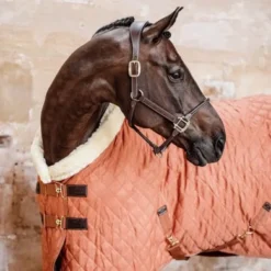 Kentucky Horsewear Kentucky Showdeken 160g Autumn Orange 15 Kentucky Horsewear Kentucky Showdeken 160g Autumn Orange -Kentucky Horsewear Winkel kentucky 52101 45 7.2acd3a