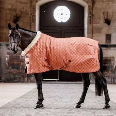 Kentucky Horsewear Kentucky Showdeken 160g Autumn Orange 1 Kentucky Horsewear Kentucky Showdeken 160g Autumn Orange