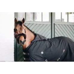 Kentucky Horsewear Winkel -Kentucky Horsewear Winkel kentucky 52113 01 1.bdd5de