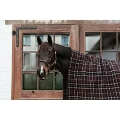 Kentucky Horsewear Kentucky Zweetdeken Heavy Bruin -Kentucky Horsewear Winkel kentucky 63bcf29b391cf adaca5fa3441b755e562d7a46c3146441656d4c6 485a1259.21efad