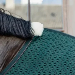 Kentucky Horsewear Kentucky Coolerdeken 4D Spacer Pine Green -Kentucky Horsewear Winkel kentucky 63c95092ce0f1 1a592f64ddbc9ed4d00ae0591dc4690d2ae92477 485a3385.96a5db