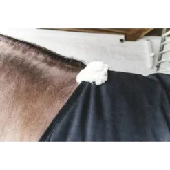 Kentucky Horsewear Kentucky Staldeken Classic 100g Zwart -Kentucky Horsewear Winkel kentucky 64d1d73b8d8f4 f9c964e5c73ae5791aa9b266f3207e6e89b8925b 179a2586.dd1f38