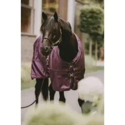 Kentucky Horsewear Kentucky Turnout All Weather 160g Paars -Kentucky Horsewear Winkel kentucky bw4a5209 bearbeitet.eb7ca8